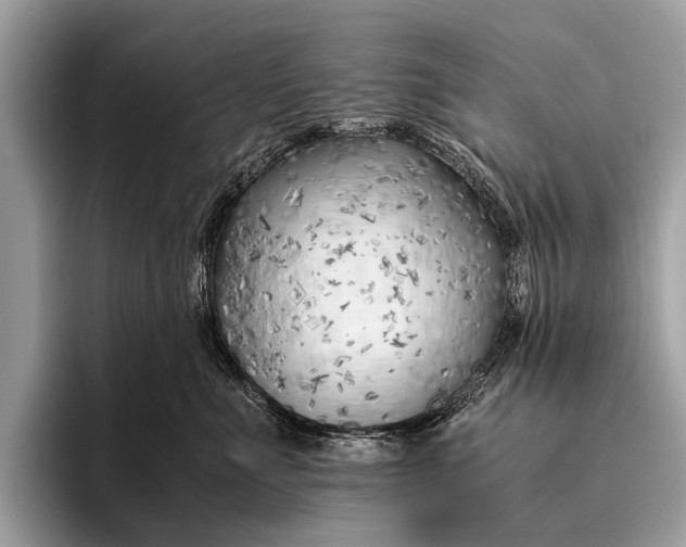 X0000095910523200801251012