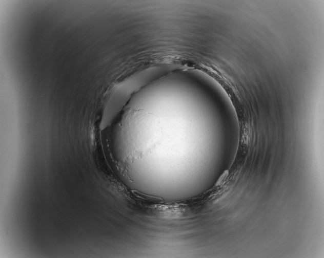 X0000095910524200801251012