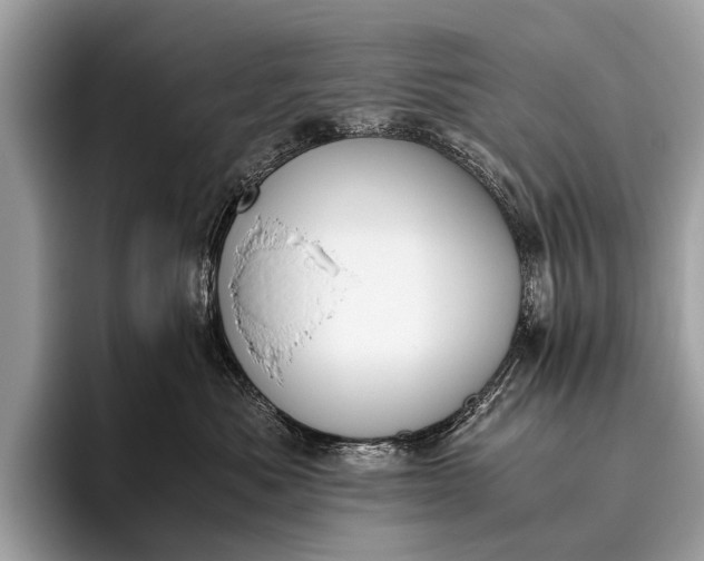 X0000095910525200801251012