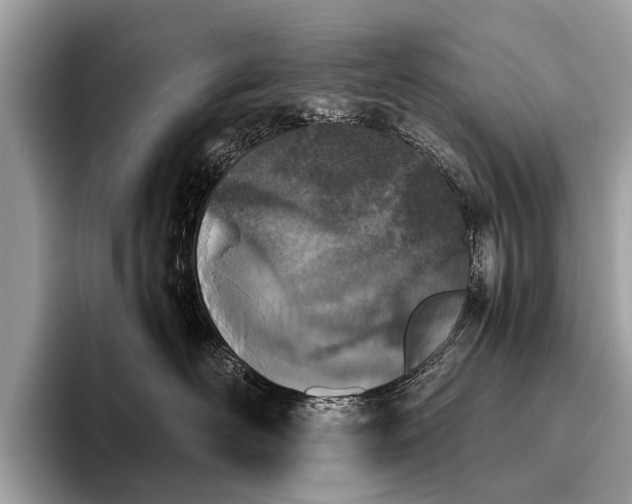 X0000095910526200801251012