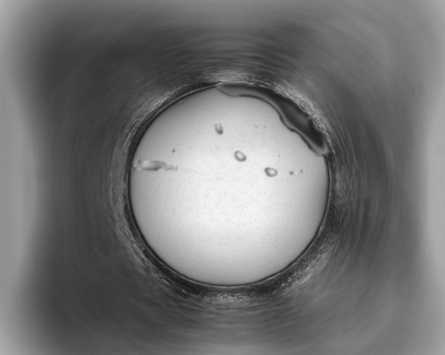 X0000095910529200801251012