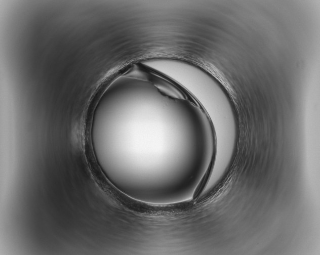 X0000095910530200801251012