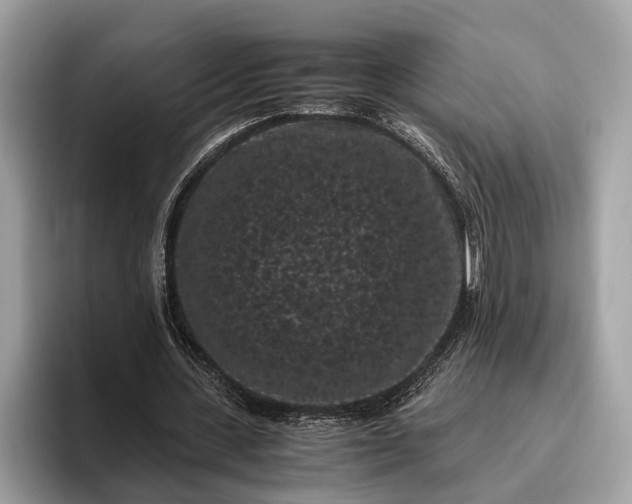 X0000095910531200801251012