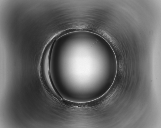 X0000095910532200801251012