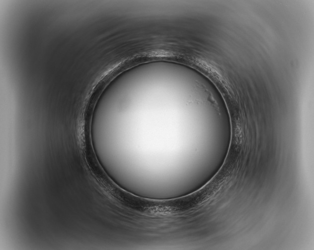 X0000095910535200801251012