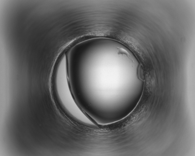 X0000095910536200801251012