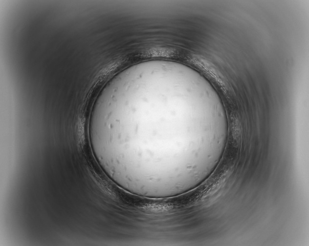 X0000095910537200801251012