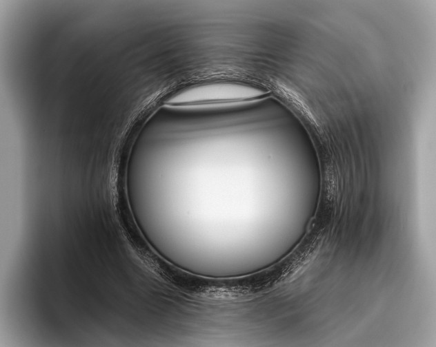 X0000095910538200801251012