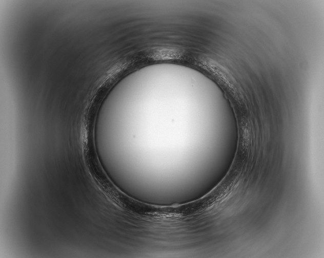 X0000095910539200801251012