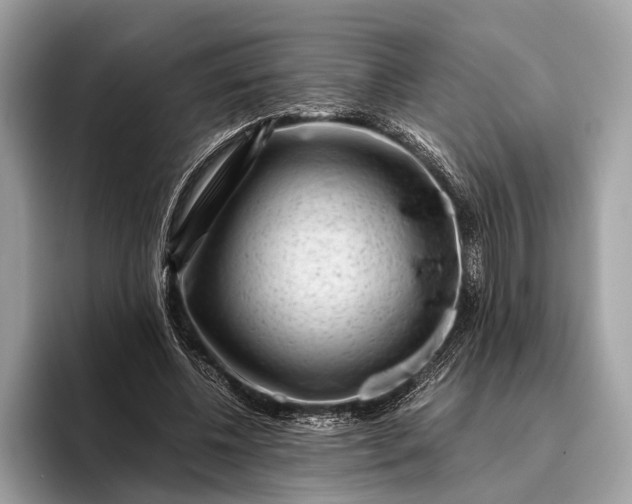 X0000095910540200801251012