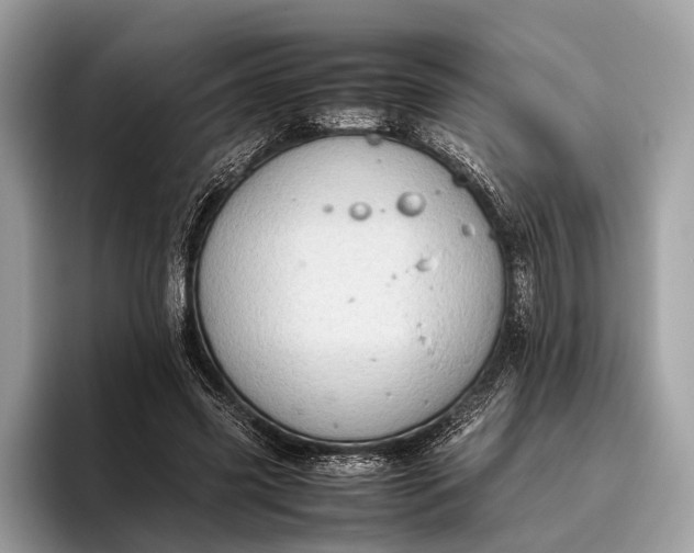 X0000095910541200801251012