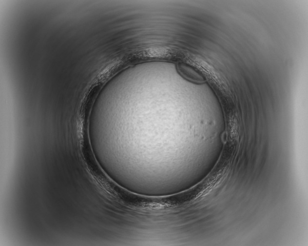 X0000095910542200801251012