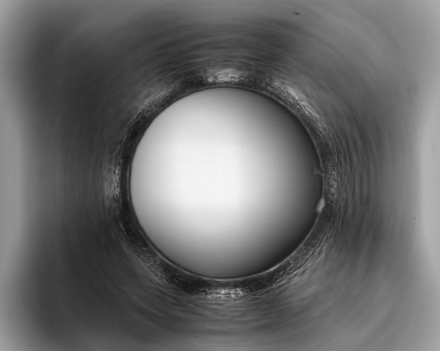 X0000095910543200801251012