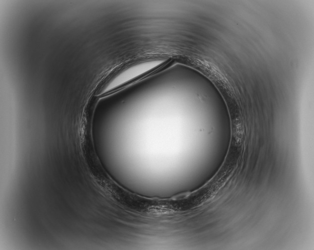 X0000095910544200801251012