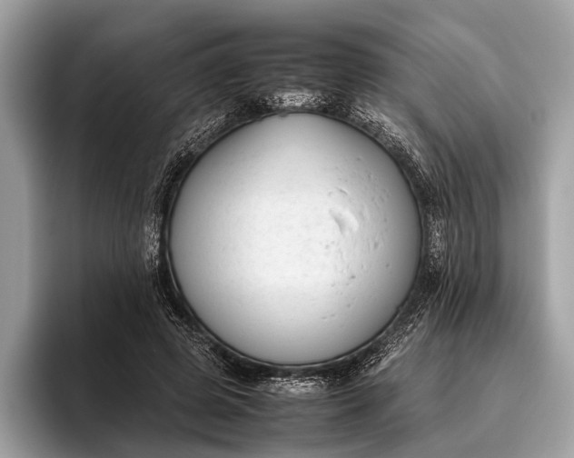 X0000095910545200801251012