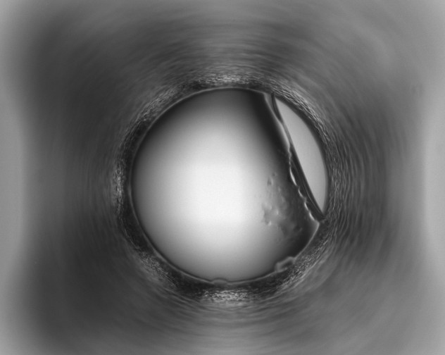 X0000095910546200801251012