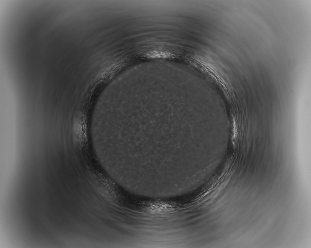 X0000095910547200801251012