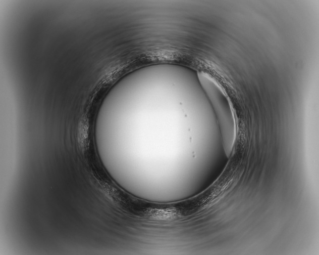 X0000095910548200801251012