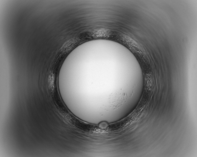 X0000095910550200801251012