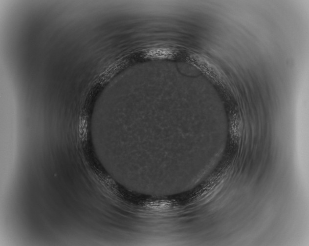 X0000095910551200801251012