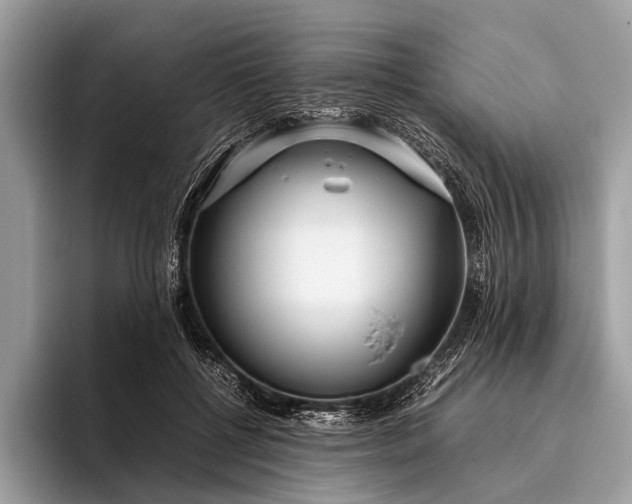 X0000095910552200801251012