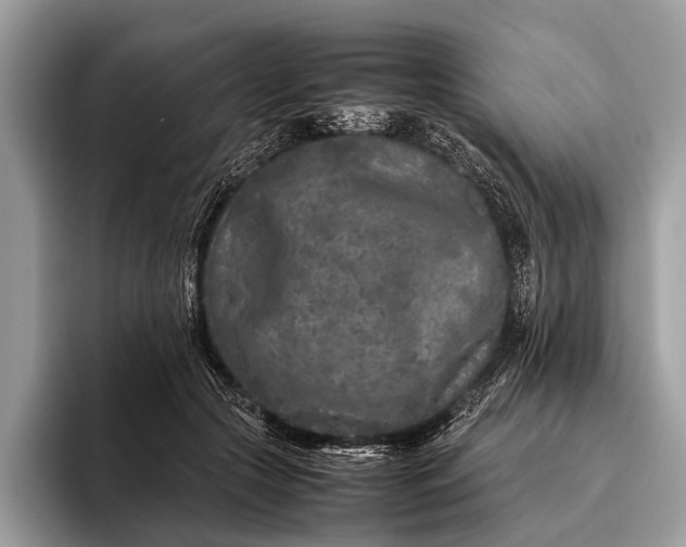 X0000095910553200801251012