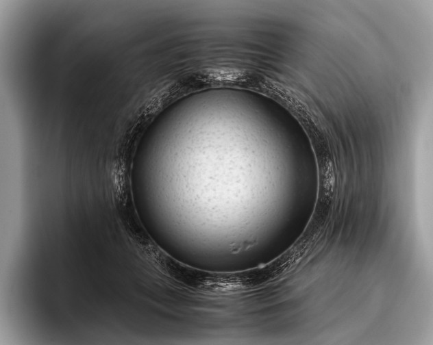 X0000095910559200801251012