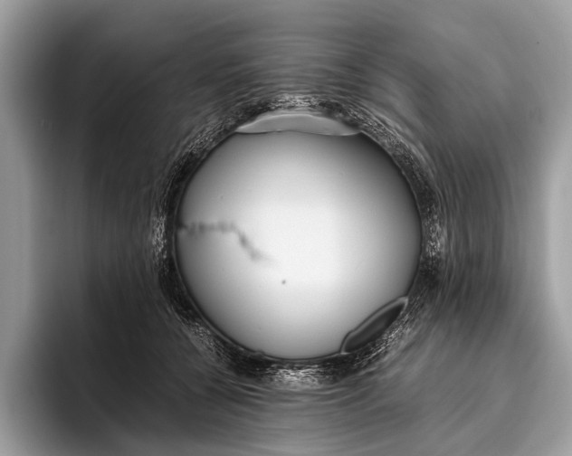 X0000095910560200801251012