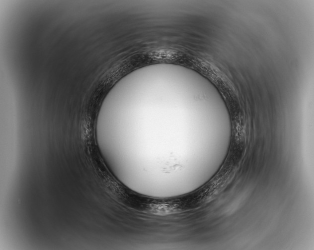 X0000095910561200801251012