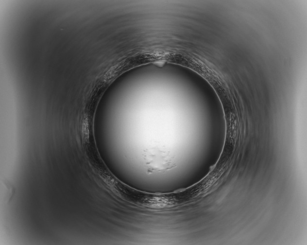 X0000095910562200801251012