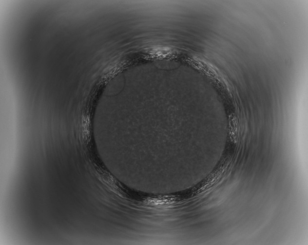 X0000095910563200801251012