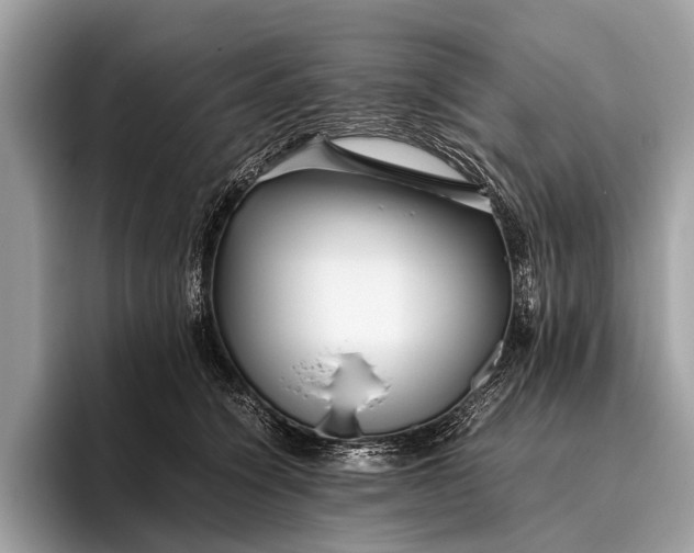 X0000095910564200801251012