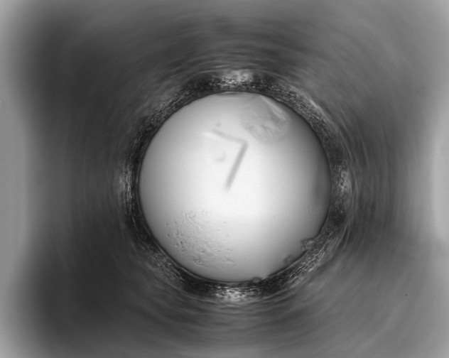 X0000095910565200801251012