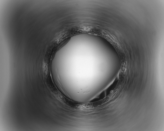 X0000095910568200801251012