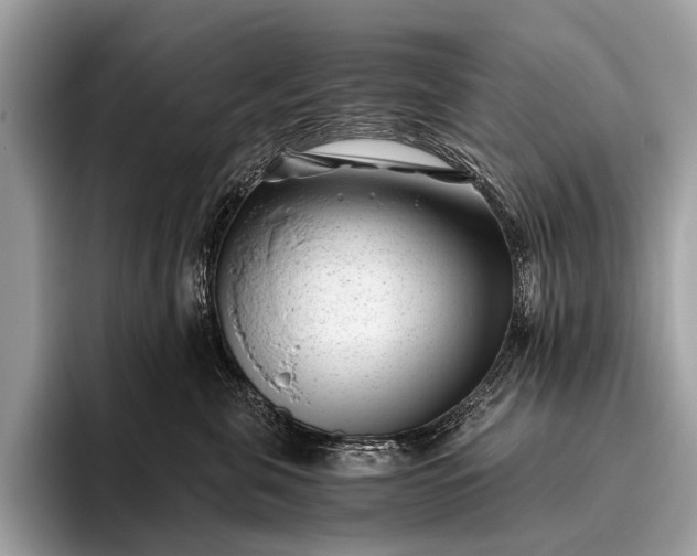 X0000095910571200801251012