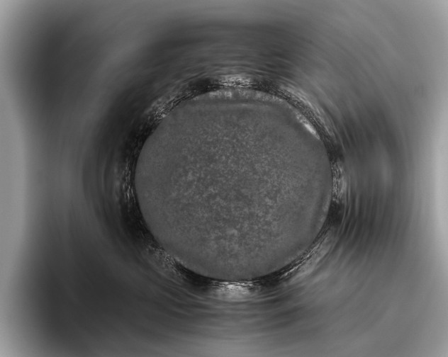 X0000095910573200801251012