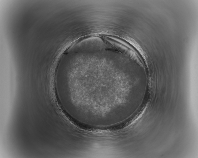 X0000095910577200801251012