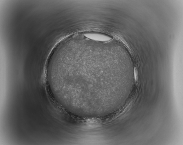 X0000095910579200801251011