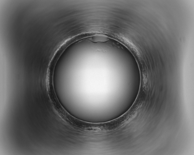 X0000095910580200801251011