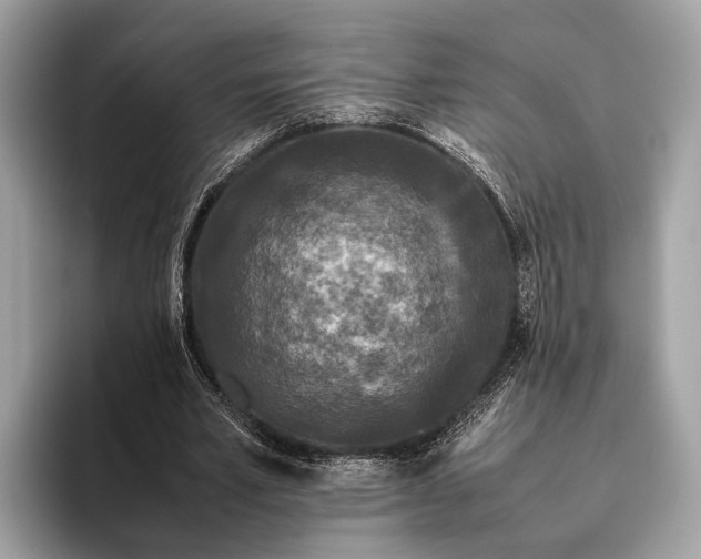 X0000095910581200801251011