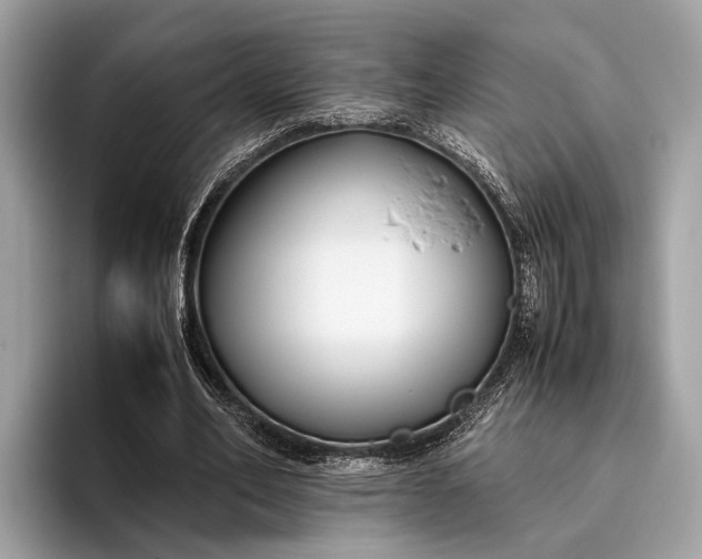 X0000095910582200801251011