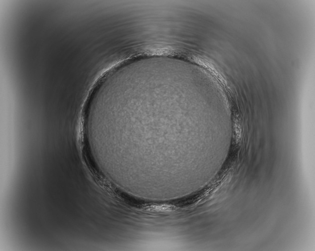 X0000095910583200801251011