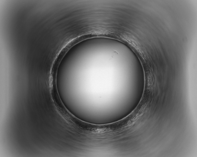 X0000095910584200801251011