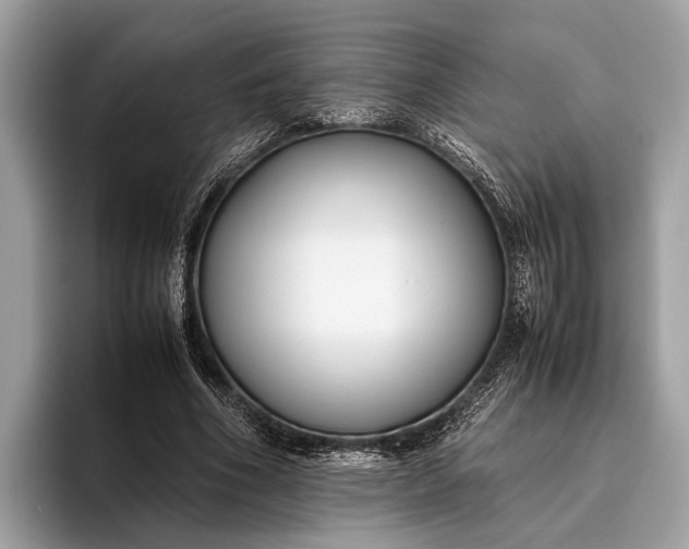 X0000095910586200801251011