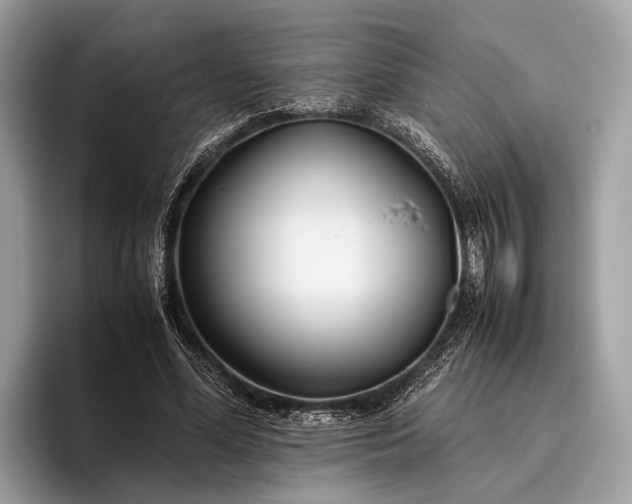 X0000095910588200801251011