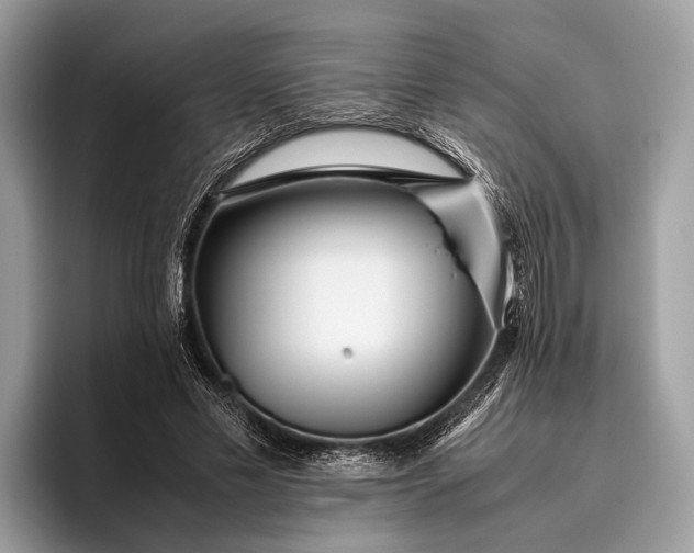 X0000095910589200801251011