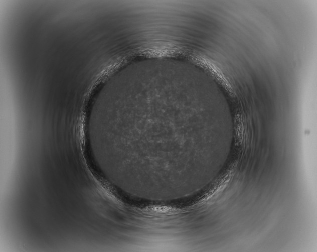 X0000095910590200801251011