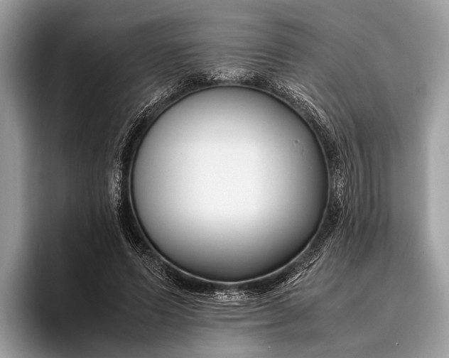 X0000095910591200801251011