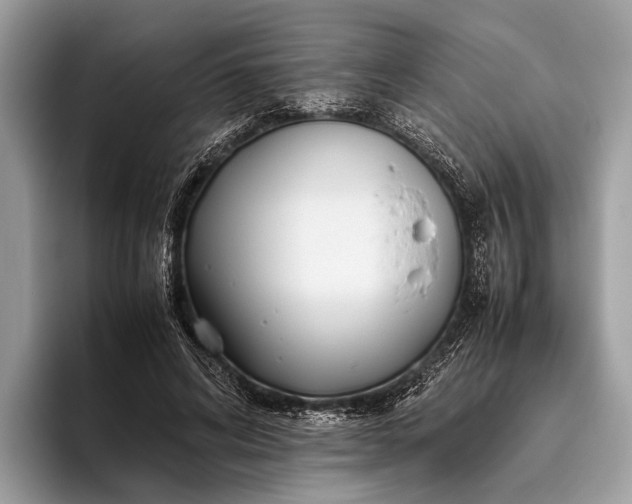 X0000095910592200801251011