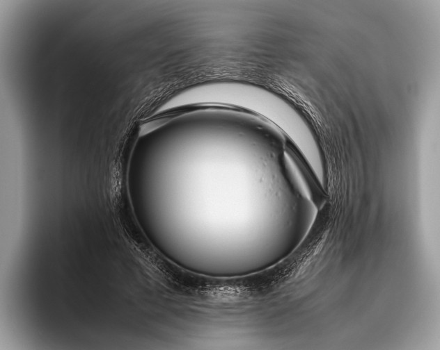 X0000095910593200801251011